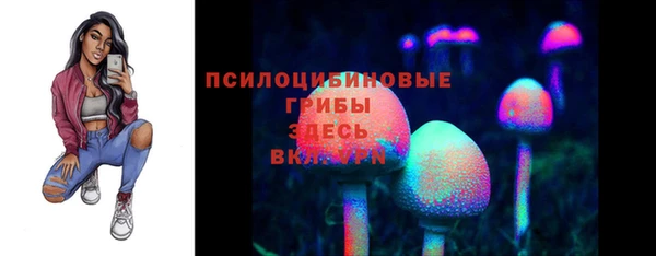 Альфа ПВП Баксан