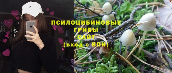 трава Балахна