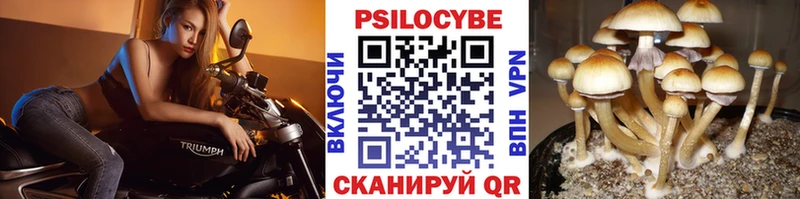 Псилоцибиновые грибы ЛСД  Бодайбо 